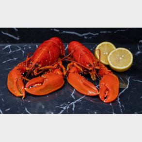 Skaldyr og specialiteter