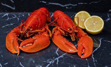 Skaldyr og specialiteter