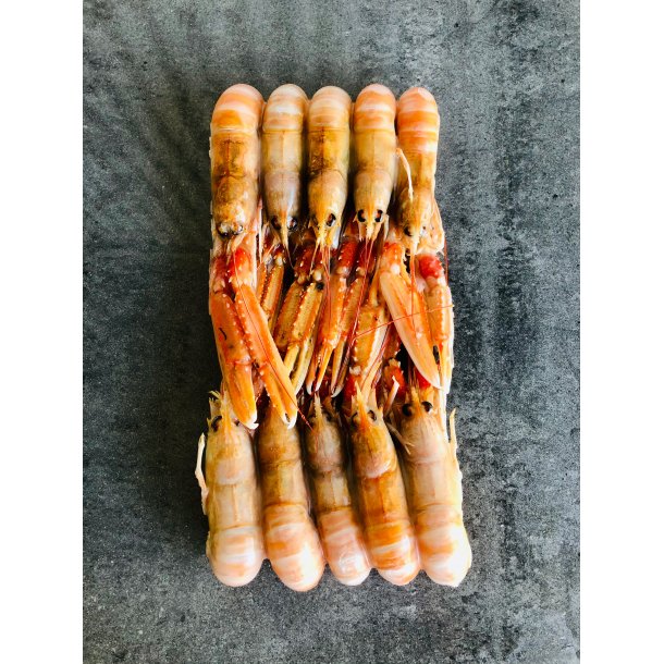 Jomfruhummere (1 kg.) Skaldyr og specialiteter Erling Grønkjær