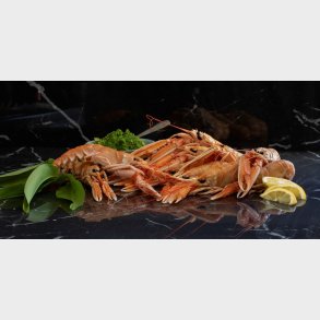 Jomfruhummere (1 kg.), Ganzen Hummer, lobster